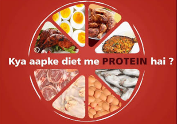 Protein in India: From Nutritional Need to Social-Media Fad