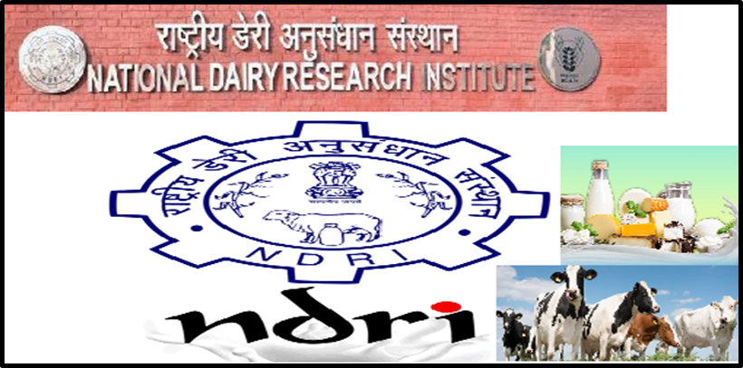 What is the National Dairy Research Institute (NDRI)?