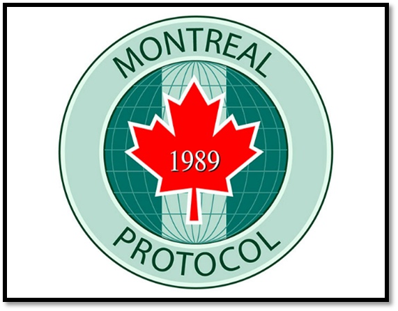 Montreal Protocol and the Road to Ozone Recovery