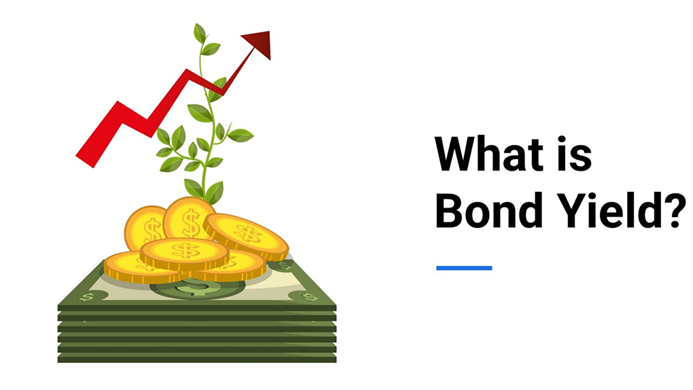 What is Bond Yield