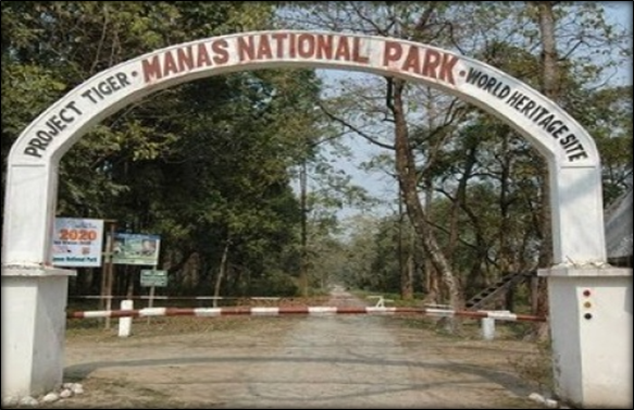 Manas National Park