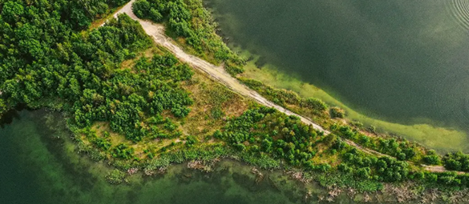 What are Eco-Sensitive Zones (ESZs)?
