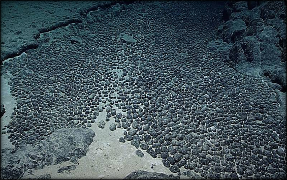 What is Polymetallic Nodules
