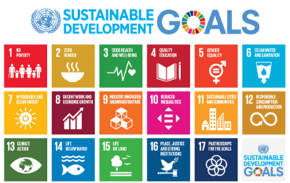 What are the Sustainable Development Goals (SDGs)?