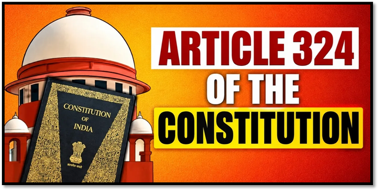 What is Article 324?