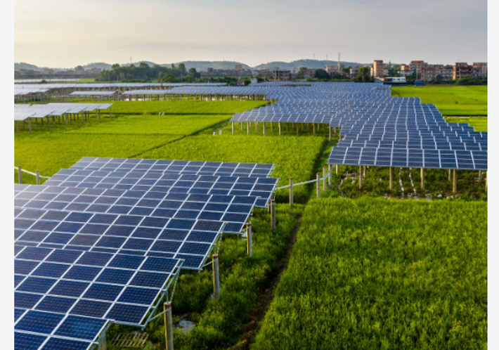 Agri-PV in India: Linking Energy Transition with Farmer Incomes