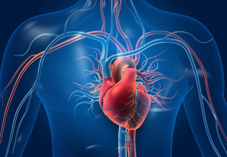 The Hidden Heartbreak: The Silent Cardiac Crisis Challenging Traditional Medicine