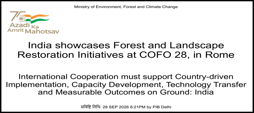 Committee on Forestry (COFO) 28