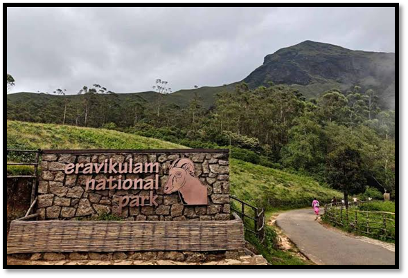 Where is Eravikulam National Park?