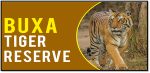 Tigers Return to Buxa Tiger Reserve