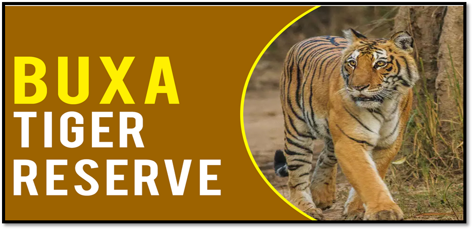 Tigers Return to Buxa Tiger Reserve