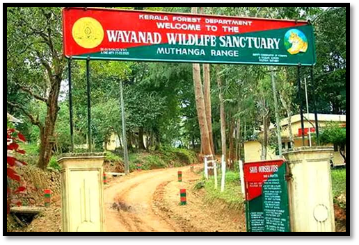 Where is Wayanad Wildlife Sanctuary (WWS)?