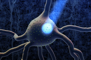 Illuminating the Neural Frontier: Optogenetics and the Dawn of Precision Neurobiology