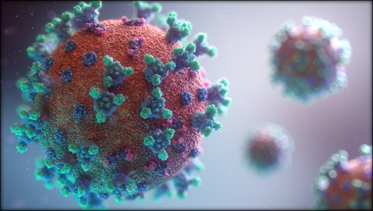 Adeno-Associated Viruses (AAVs)
