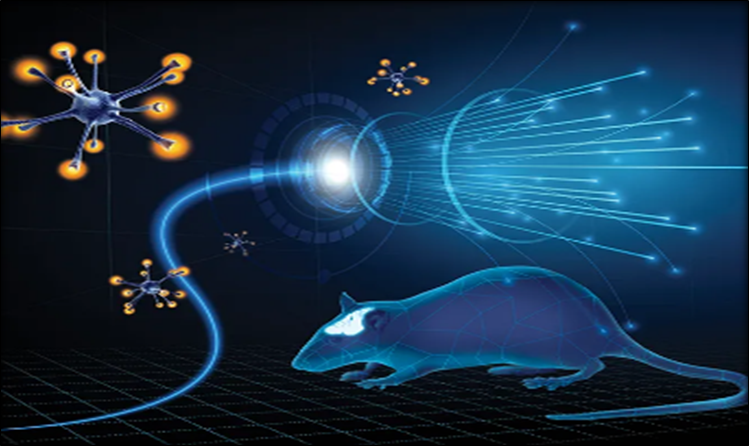 Optogenetics
