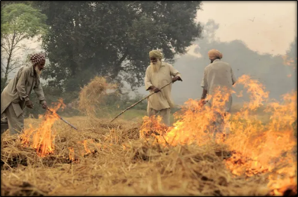 Stubble Burning in North India: Structural Causes, Policy Challenges and Sustainable Solutions