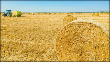 Crop Residue Management (CRM) Scheme