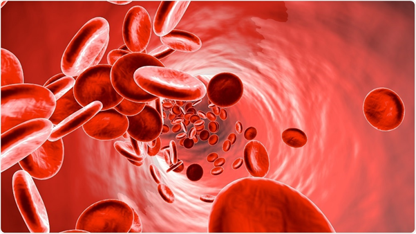What is Anaemia
