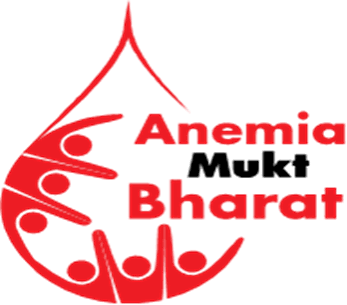 What is Anaemia Mukt Bharat (AMB)