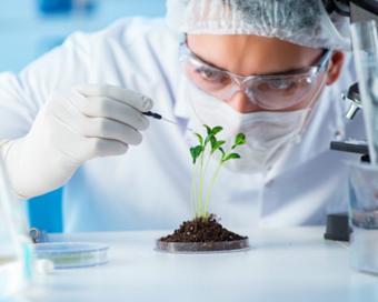 CRISPR Technology and Genetically Modified Crops in India