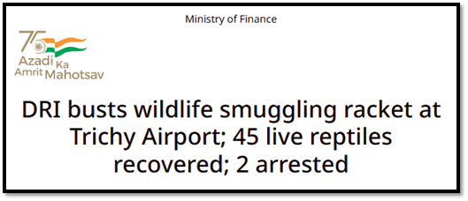 DRI Busts Wildlife Smuggling Racket at Trichy Airport